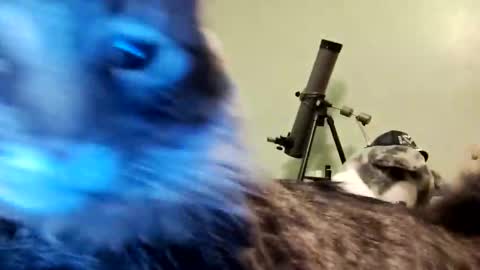 Snapshot of aphrodite60 chatting on January 2025 06:28:02 AM Aphrodite60 online show from January 2025 06:28:02 AM