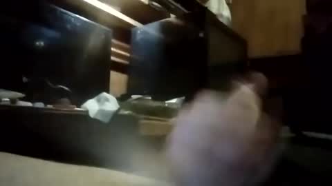 apocolypseanomaly online show from January 2025 10:52:02 AM