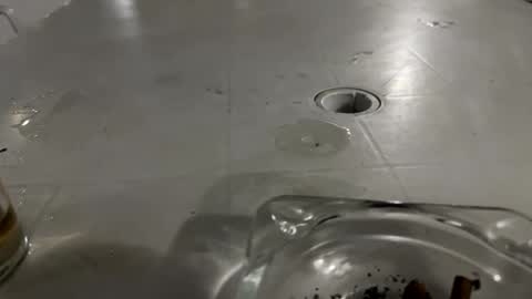 Snapshot of appelsapje4 chatting on November 2025 12:43:02 AM appelsapje4 online show from November 2025 12:43:02 AM