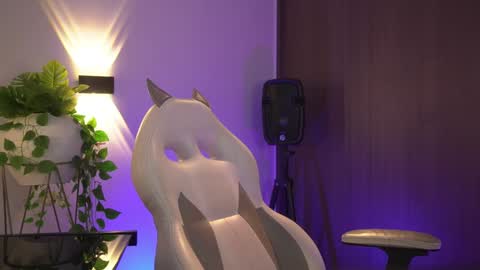 insta appolo master online show from February 2025 09:18:02 PM