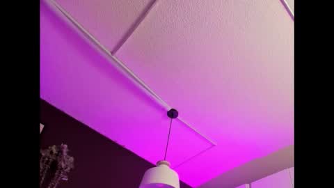 April online show from February 2026 11:25:02 AM