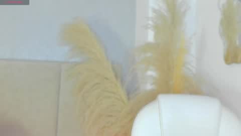 Snapshot of april_ebony18_ chatting on April 2026 10:41:02 AM April online show from April 2026 10:41:02 AM