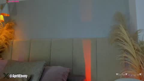 Snapshot of april_ebony18_ chatting on June 2026 10:45:02 AM April online show from June 2026 10:45:02 AM