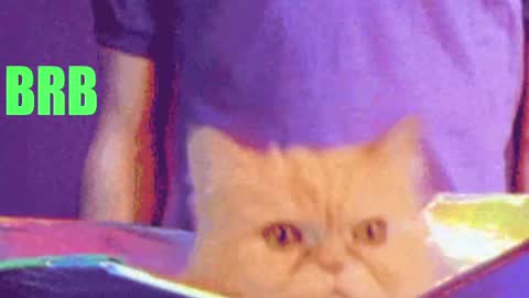 aprill_o_nill online show from April 2026 03:26:01 PM