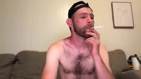 archibears online show from June 2026 04:49:01 AM