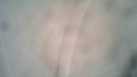 Snapshot of archkeinzas chatting on October 2025 06:38:02 PM olo online show from October 2025 06:38:02 PM