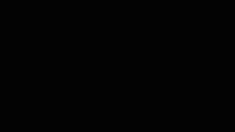 ARES online show from December 2024 11:44:01 AM