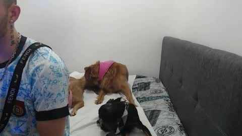 ariana_esteban07 online show from February 2026 10:29:01 AM