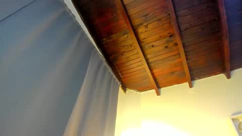  ARI  online show from November 2025 03:06:01 AM