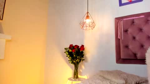 Snapshot of ariana_zc_ chatting on February 2025 11:20:01 PM Susan online show from February 2025 11:20:01 PM