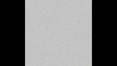 Arianna Collins online show from February 2026 11:50:01 AM