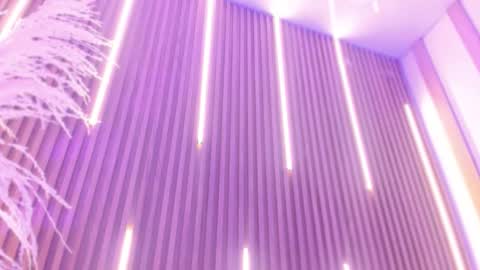 Ari  online show from December 2025 01:04:02 PM