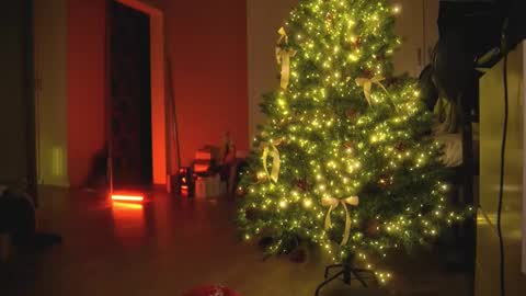 Olivka online show from December 2024 05:48:01 AM