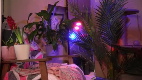 Olivka online show from March 2026 06:40:01 AM