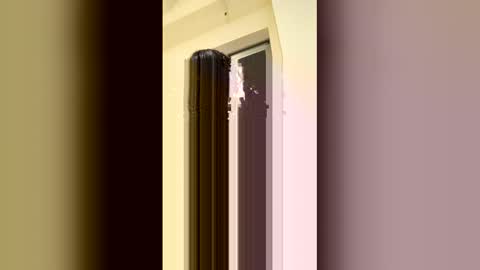 arilavish online show from April 2026 05:34:01 AM