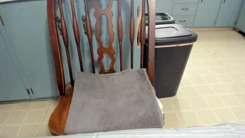 armalite16 online show from November 2025 06:06:02 PM