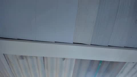 Snapshot of artemis_020 chatting on October 2025 01:06:01 AM FENIX online show from October 2025 01:06:01 AM