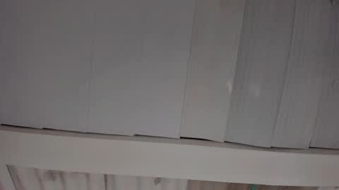 Snapshot of artemis_020 chatting on November 2025 02:06:01 AM FENIX online show from November 2025 02:06:01 AM