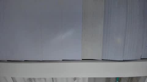 Snapshot of artemis_020 chatting on November 2025 04:23:02 AM FENIX online show from November 2025 04:23:02 AM