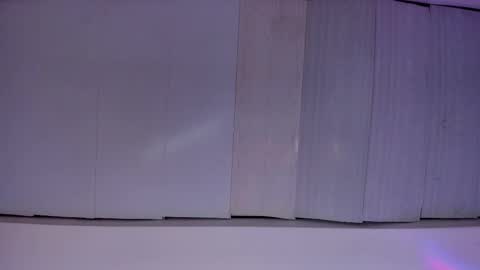 Snapshot of artemis_020 chatting on November 2025 03:06:01 AM FENIX online show from November 2025 03:06:01 AM