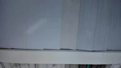 Snapshot of artemis_020 chatting on November 2025 03:06:01 AM FENIX online show from November 2025 03:06:01 AM