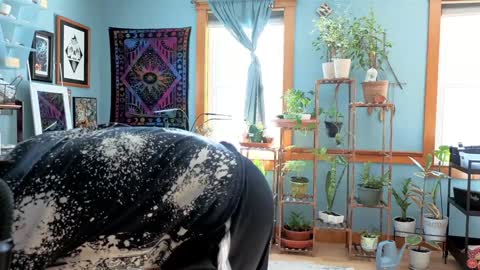 Snapshot of artiepaints chatting on December 2024 03:22:02 PM Artie Paints online show from December 2024 03:22:02 PM