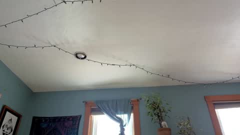 Snapshot of artiepaints chatting on January 2025 04:27:01 PM Artie Paints online show from January 2025 04:27:01 PM