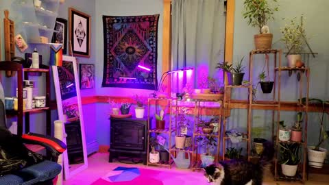 Snapshot of artiepaints chatting on January 2025 12:16:02 AM Artie Paints online show from January 2025 12:16:02 AM