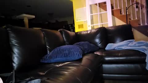 Snapshot of artiepaints chatting on January 2025 03:42:01 AM Artie Paints online show from January 2025 03:42:01 AM