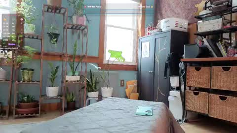 Snapshot of artiepaints chatting on February 2025 05:30:02 PM Artie Paints online show from February 2025 05:30:02 PM