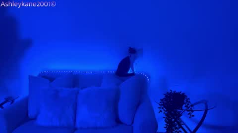 Ashley online show from January 2025 04:54:01 AM