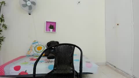 Camila online show from November 2025 11:32:01 AM