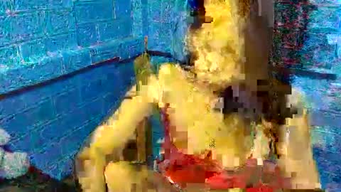 asian_decy online show from March 2026 01:00:01 AM