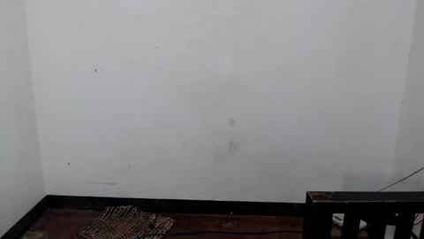 Shane online show from December 2025 06:44:01 AM