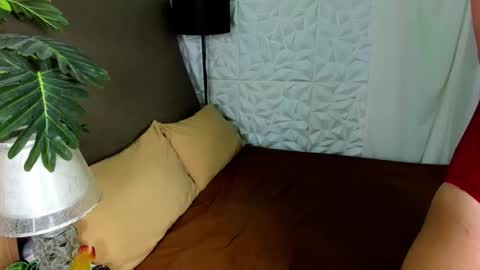 asianhugecocktrisha online show from February 2026 11:53:02 AM