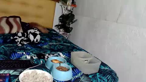 Snapshot of asianladyboy888 chatting on November 2025 04:07:02 PM asianladyboy888 online show from November 2025 04:07:02 PM