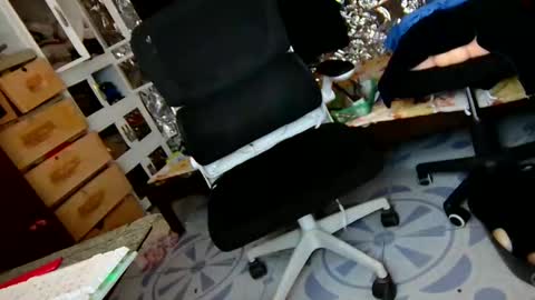 Trish online show from December 2025 06:07:01 AM