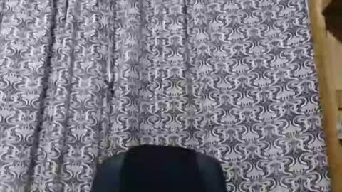aslanne online show from May 2026 09:45:01 PM