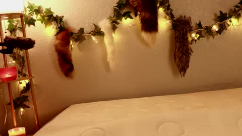 Aspie Land online show from February 2026 02:19:02 AM