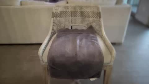 assfucklovee online show from December 2024 02:49:02 PM