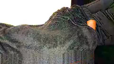 Assiology online show from March 2025 08:41:02 PM