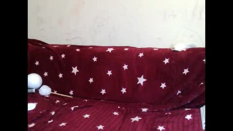 Snapshot of asyalu chatting on January 2025 01:04:01 PM AsyaLu online show from January 2025 01:04:01 PM