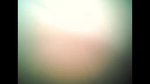 Snapshot of at4201993 chatting on October 2025 09:28:02 PM at4201993 online show from October 2025 09:28:02 PM