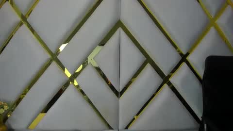 Snapshot of aurora18palmer chatting on December 2024 02:27:01 PM aurora online show from December 2024 02:27:01 PM