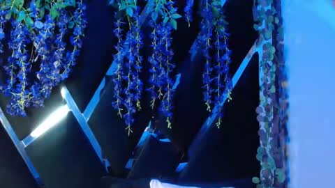 Snapshot of aurora18palmer chatting on September 2025 02:19:01 PM aurora online show from September 2025 02:19:01 PM