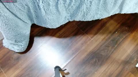 Aurora online show from January 2025 12:32:02 PM