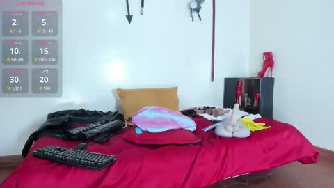 Aurora online show from February 2026 11:42:02 AM