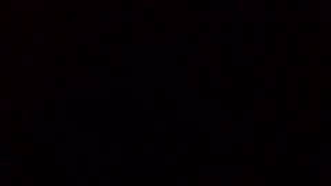 Starr online show from April 2026 08:28:02 PM