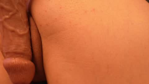 Snapshot of aurora_the_ballerina chatting on December 2024 12:06:01 PM Aurora online show from December 2024 12:06:01 PM