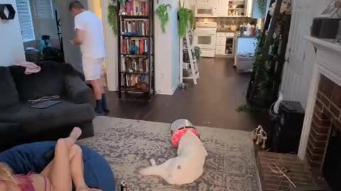 Aurora and Orion online show from November 2025 10:10:02 PM